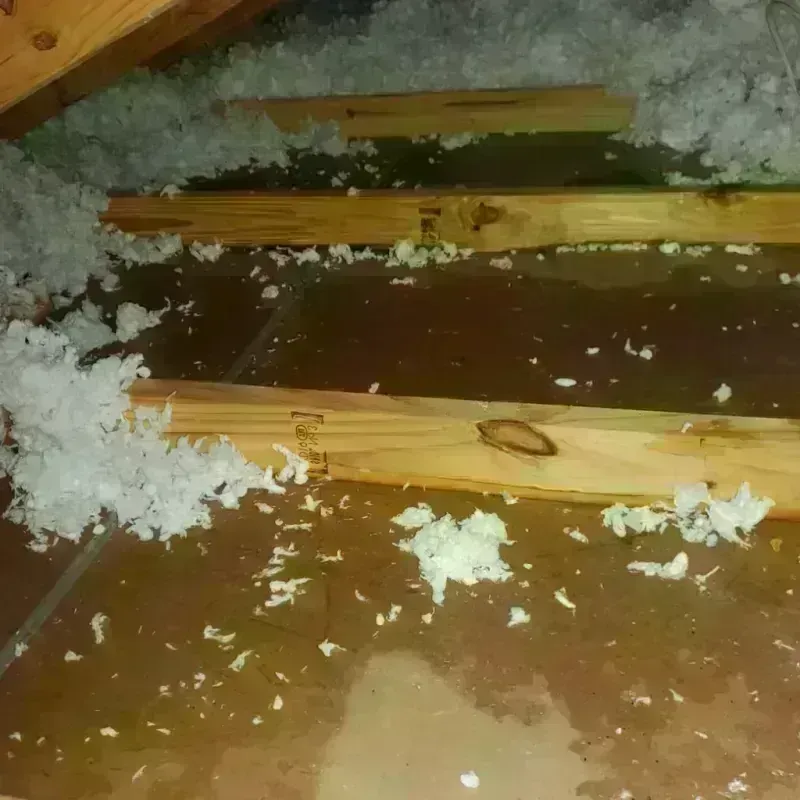 Attic Water Damage in Edenton, NC